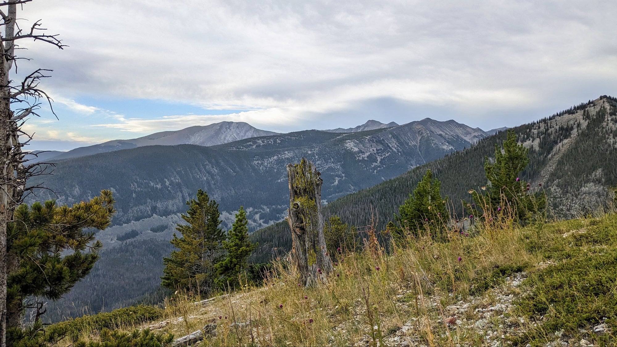 High Country Release