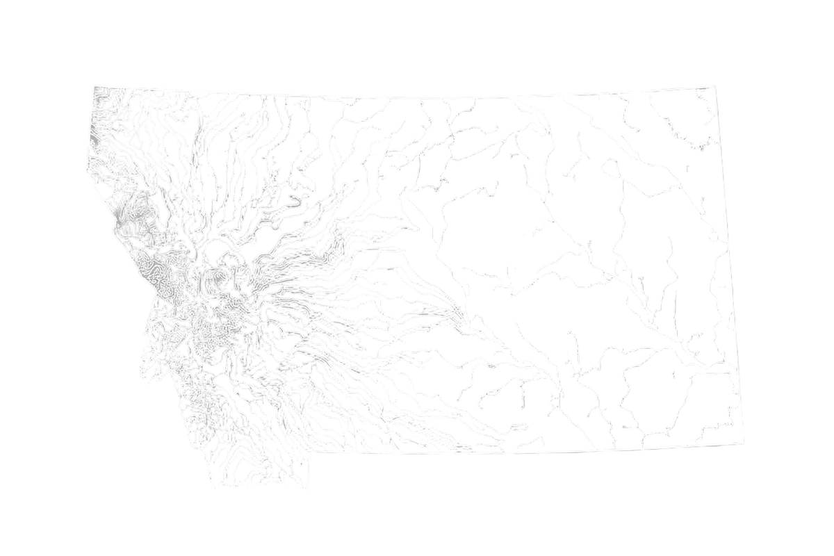 Make it white outline with topography lines